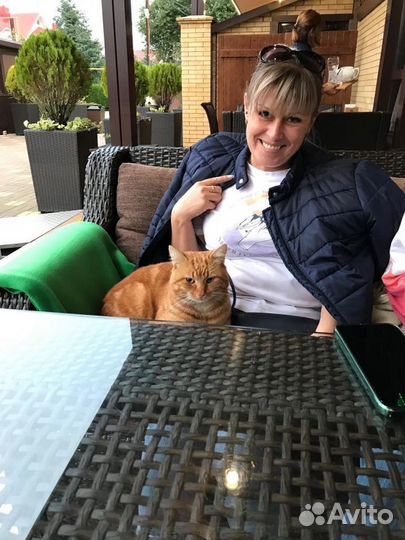 Сборщик заказов,кладовщик