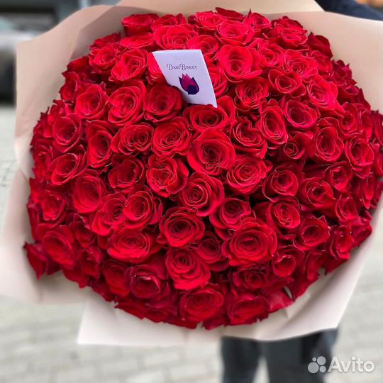 Розы 101 роза 51 роза 25 роза Пионовидные розы