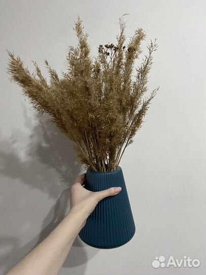 Сухоцветы цветы