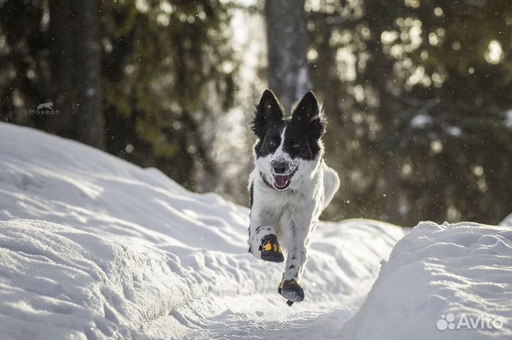 Фотоаппарат canon eos 4000d