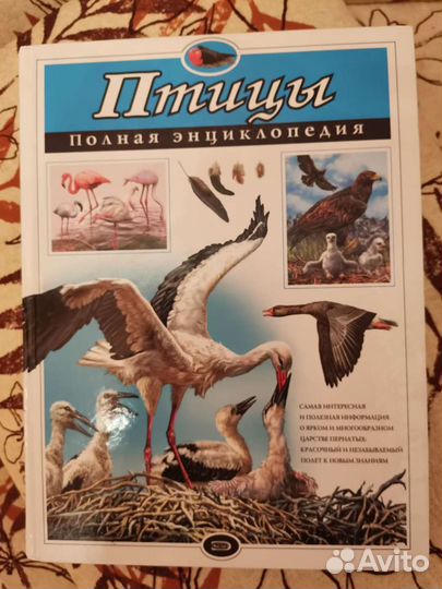 Птицы полная энциклопедия детская книга