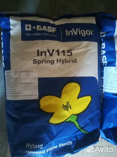 Семена гибридов рапса Видер кл, Билдер