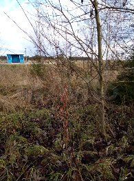 Участок 11,5 сот. (ИЖС)