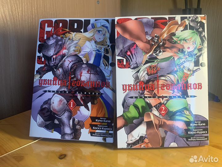 Убийца гоблинов 2-4,5