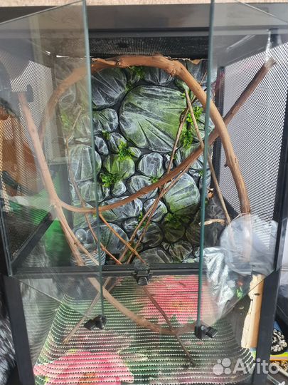 Террариум для хамелеона