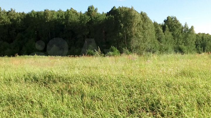 Участок 10 сот. (ИЖС)