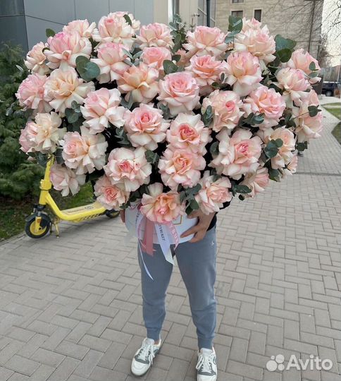 Французская розы