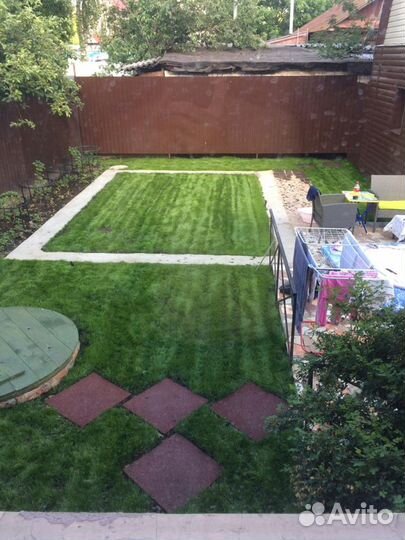 Семена посевного газона, Рулонный газон