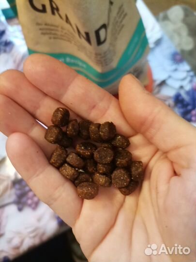 Корм для кошек leonardo gf