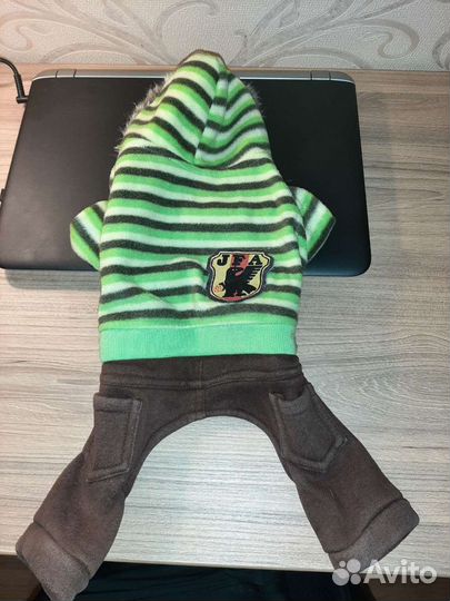 Костюм и аксессуары для маленькой собаки