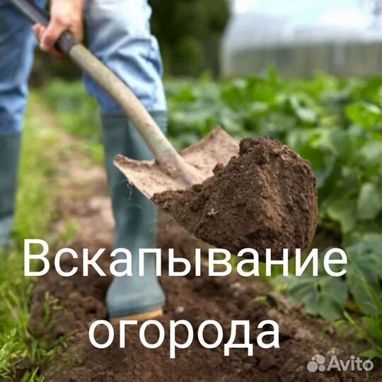 Тимуровцы Переезды Грузчики Рабочие Разнорабочие