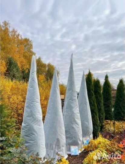 Чехлы для туи 250*150 в наличии 50 штук