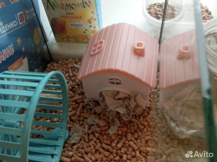 Клетка для грызунов