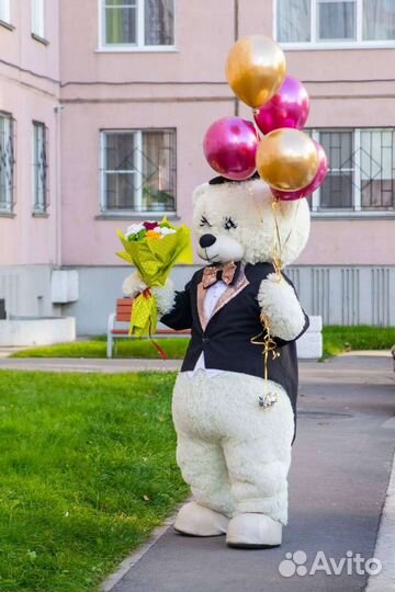 Поздравление Чебурашка Король Лев Киса Мишки Зайки