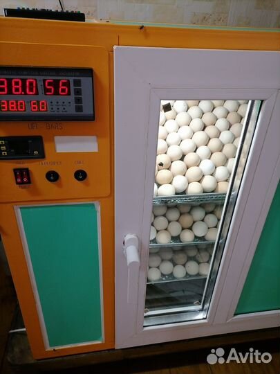 Инкубатор для яиц автоматический