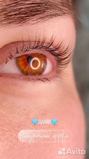 Ламинирование ресниц InLei+SPA уход