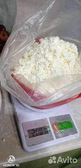 Творог, сыр, молоко, сметана, масло