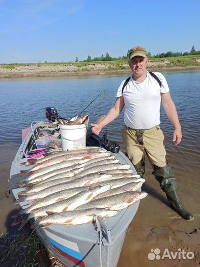 Фарш из щуки