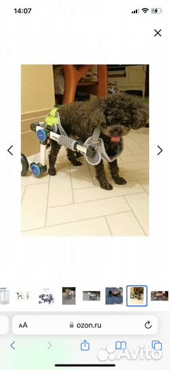 Инвалидная коляска для собак и кошек