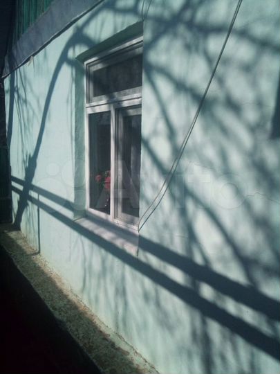 Дом 55 м² на участке 5,5 га