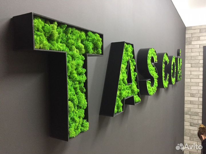 Логотипы буквы вывески надписи мох