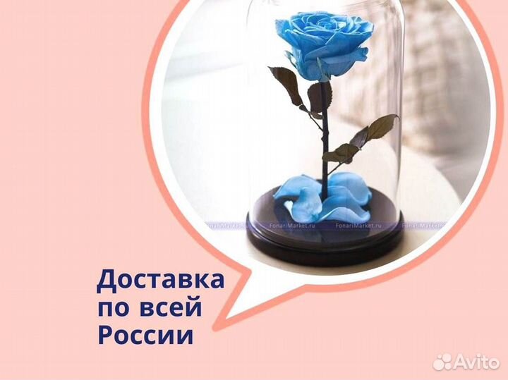 Роза в колбе. Вечная