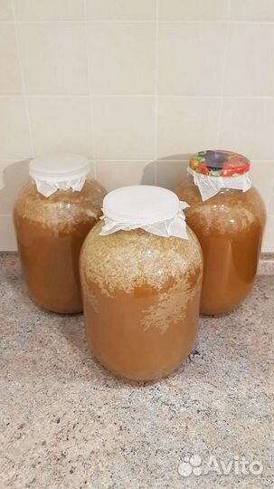 Мёд разнотравье, урожай 2022