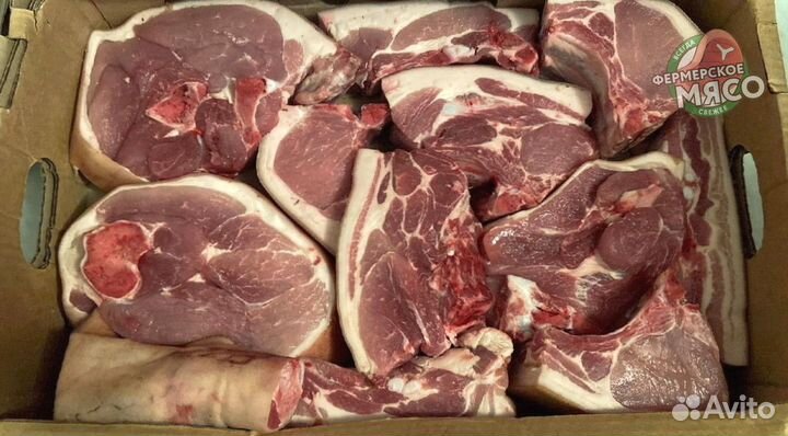 Мясо свинина
