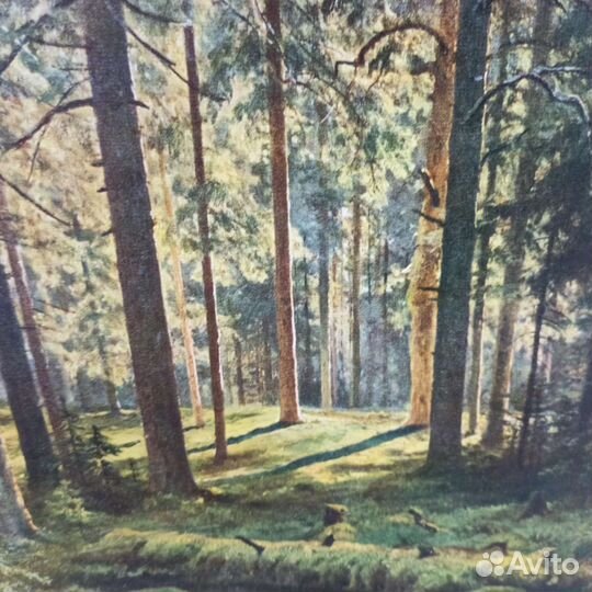 Картина Шишкин Лес Репродукция 1965 Год СССР