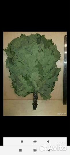 Дубовые веники