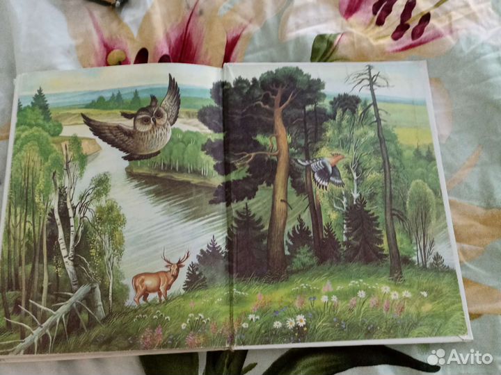 Родничок 1 класс