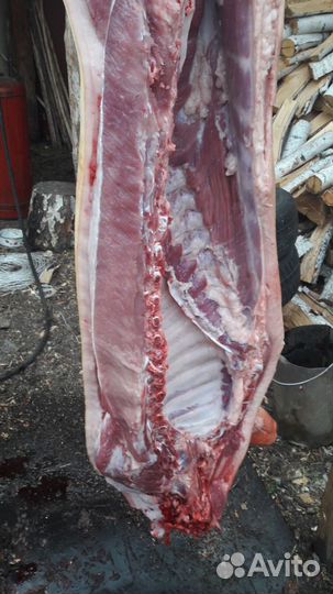 Мясо свинина