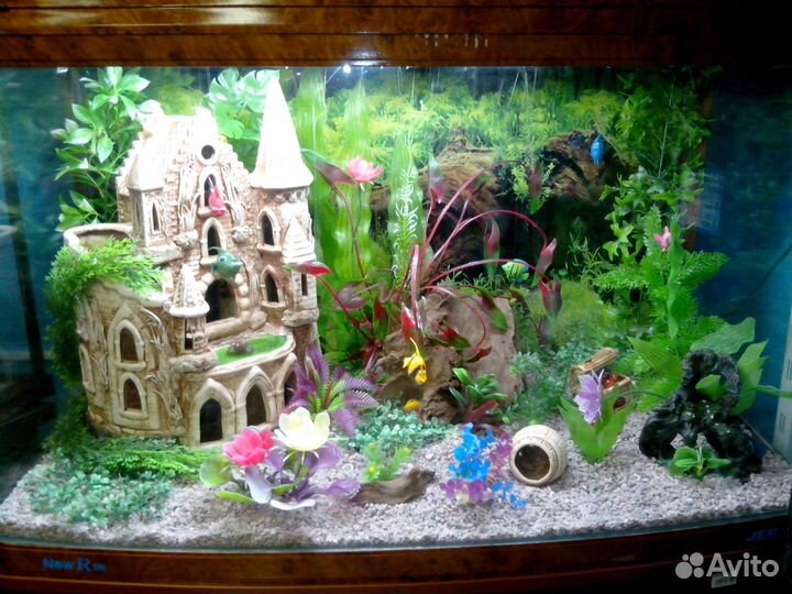 Обслуживание аквариумов