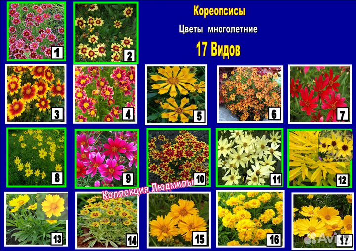 Многолетние