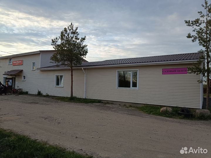 Цветочная и овощная рассада от производителя