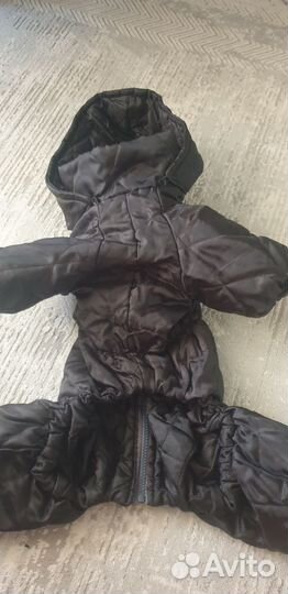 Одежда для собак