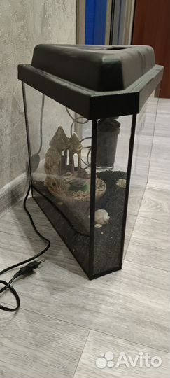 Аквариум
