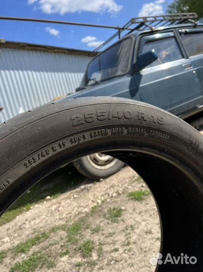 Dunlop All Season Maxx AS1 245/40 R19