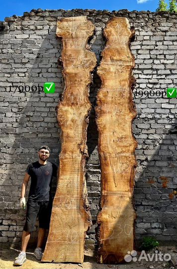 Заготовка,слэб из капового тополя