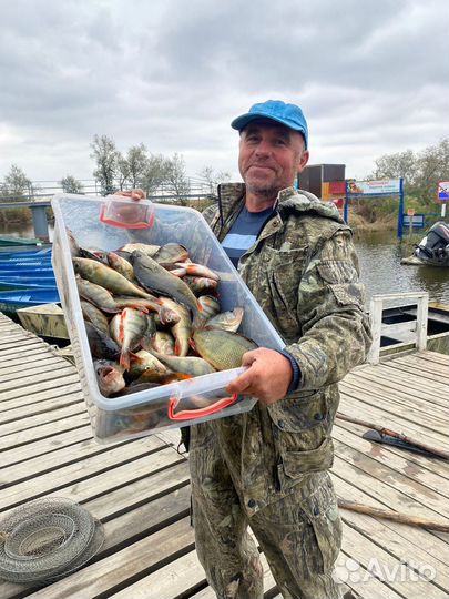 Рыбалка на прудах