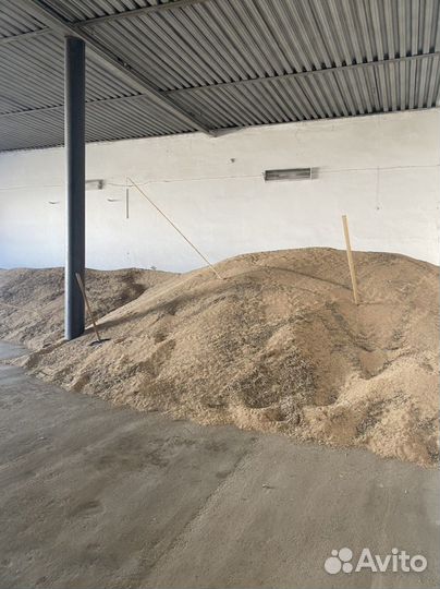 Горчица белая семена