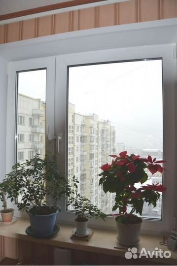 Окна пластиковые