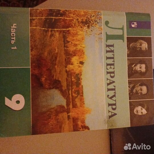 Литература 9 класс 1 часть