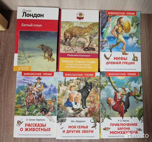 Внеклассное чтение.Книги разные