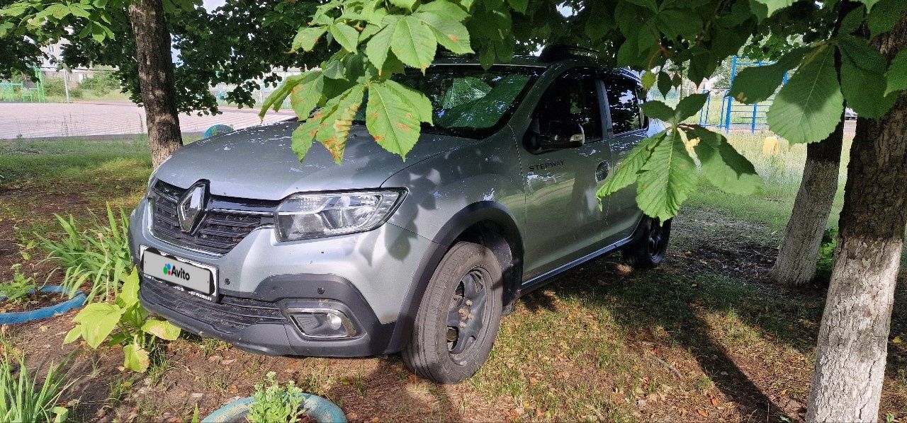 Renault Sandero Stepway: фото владельца