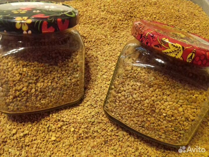 Пыльца пчелиная 2023 года