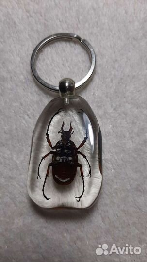 Брелок жук