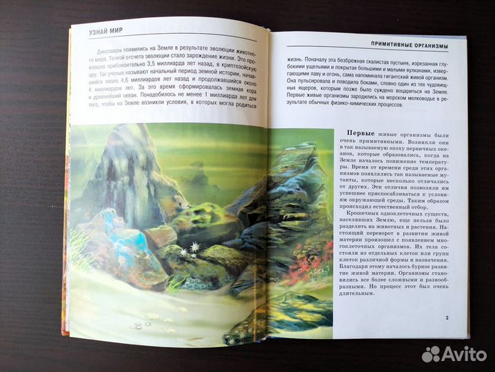 Книга детская 