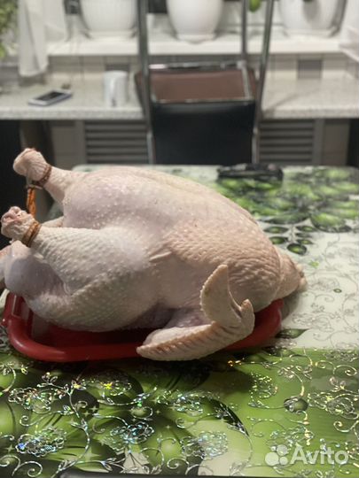 Мясо домашней индейки