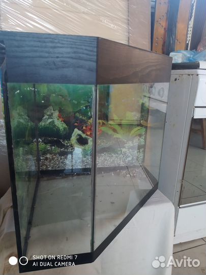Продам аквариумы